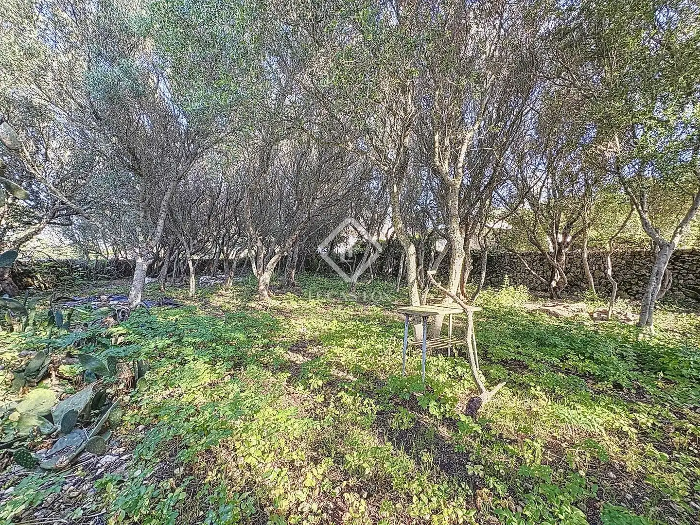 Country house with terrace for sale in Sant Lluís - S'Ullestrar - Torret, imagen 57