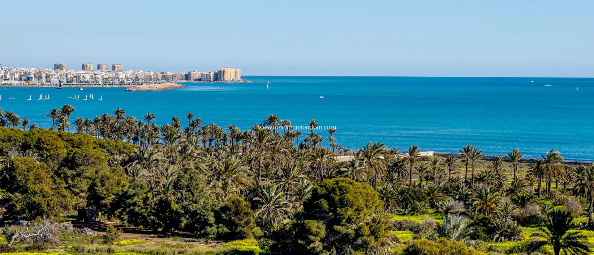 Penthouse mit Terrasse zum Verkauf in Playa del Acequión, Náufragos y Rocío del Mar, imagen 73