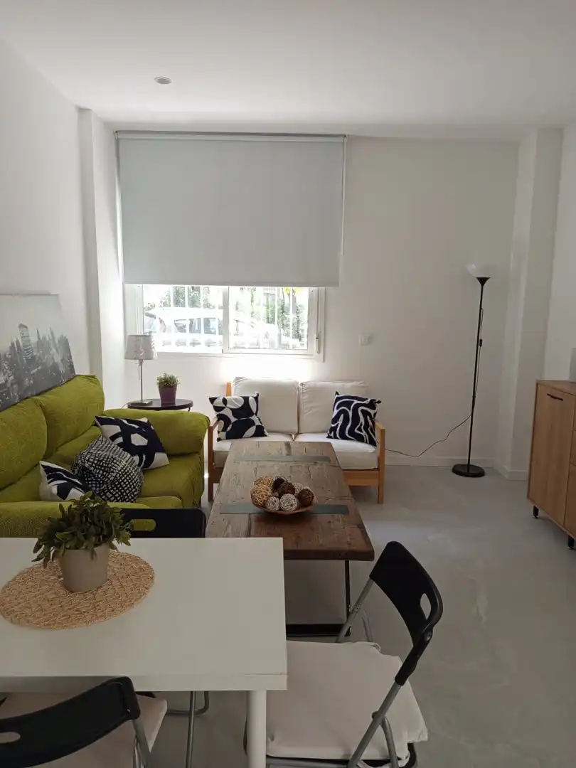 Sala de estar de Estudio de alquiler en Sevilla