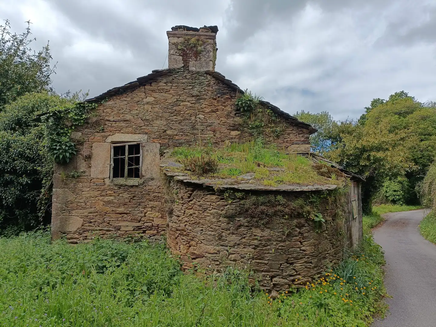 Vista exterior de Casa o xalet en venda en Aranga amb Jardí privat i Traster