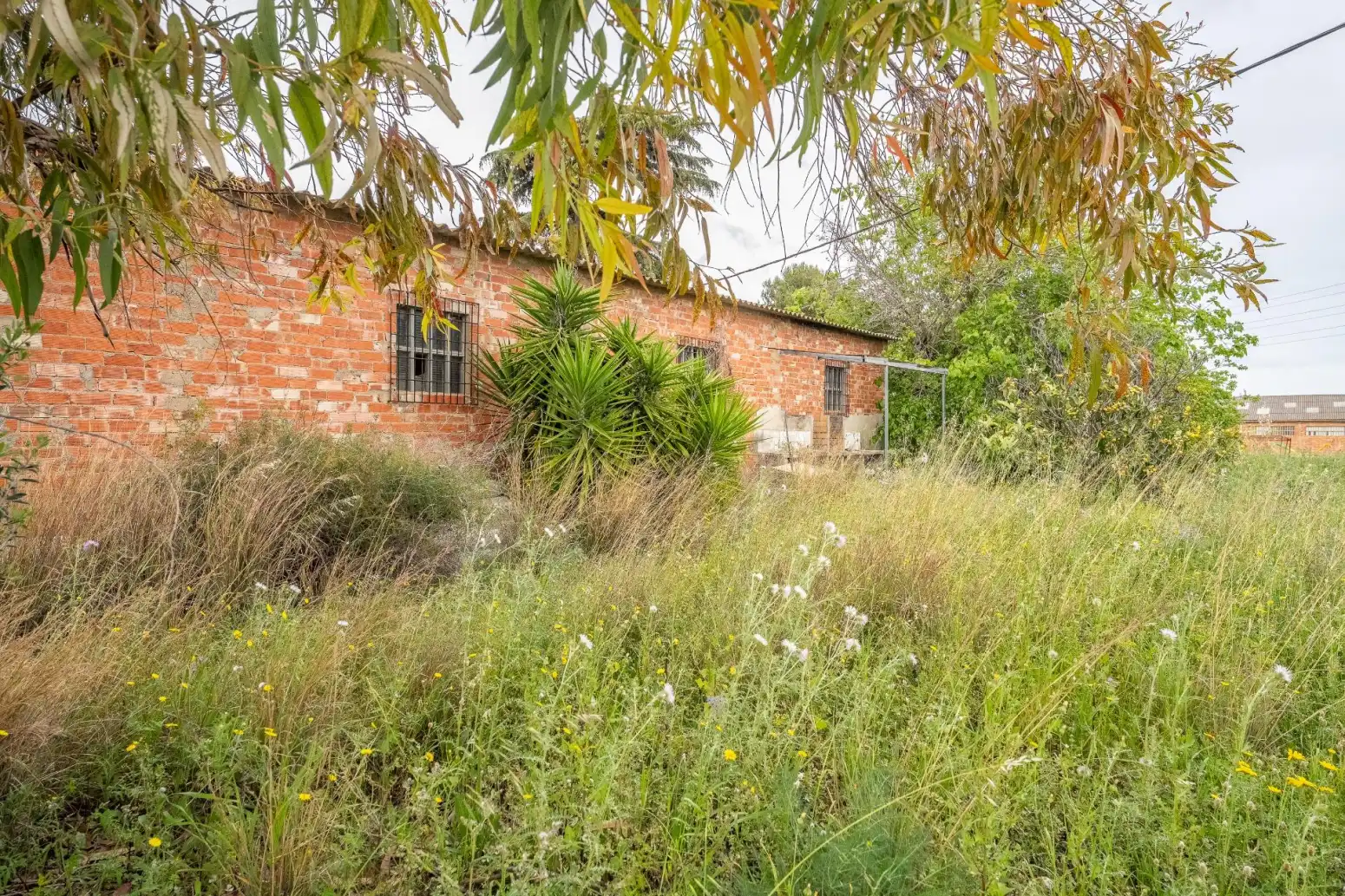 Casa o chalet en venta en Reus - Poligono Polígono 55 Paraje 46 ROJALS, Llevant