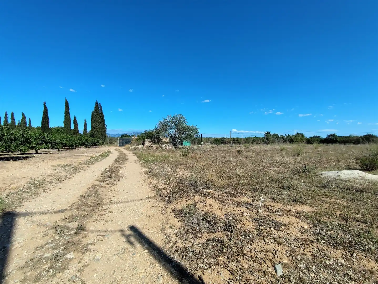 Rural land for sale in Carretera d'Amposta, imagen 18