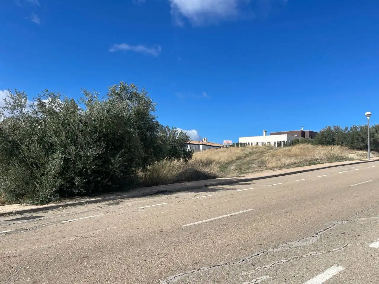 Terreni e lotti in vendita a RUISEÑORES 7