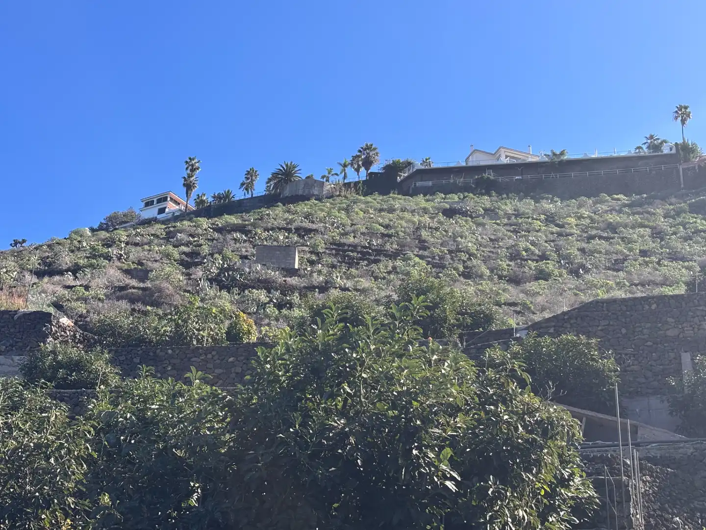 Terreno rustico in vendita a Camino de San Diego, imagen 9