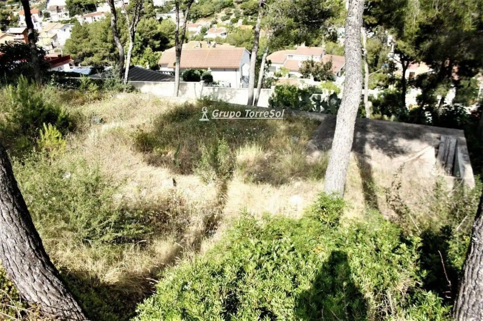 Terrain rustique à vendre à el Greco, imagen 2
