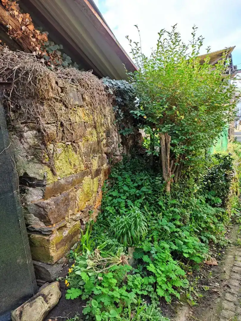 Jardín de Planta baja en venta en Valdés - Luarca