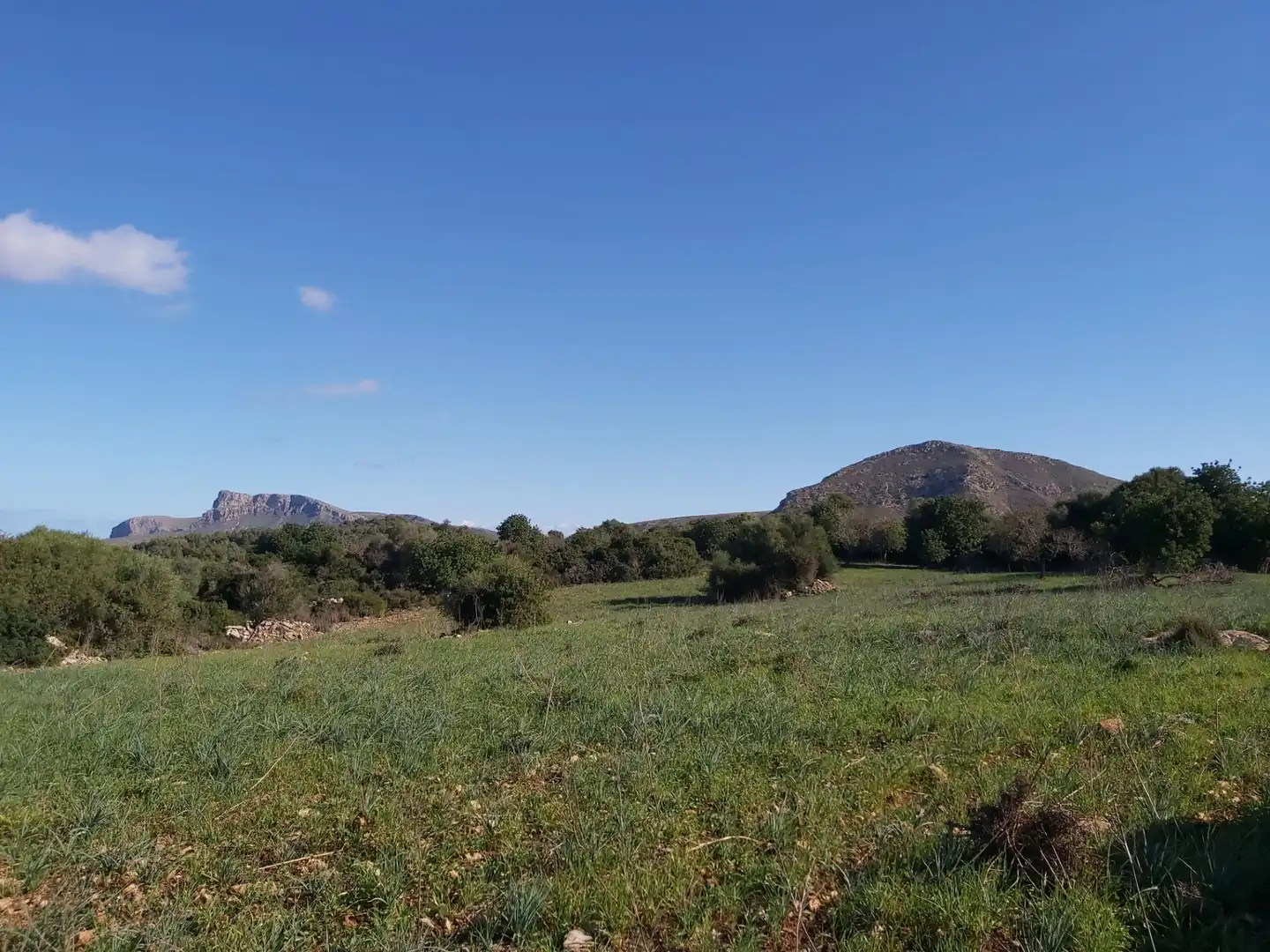 Wohnbaugrundstück zum Verkauf in Sant Llorenç des Cardassar, imagen 16