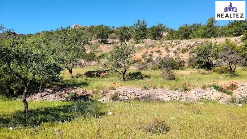 Rural land for sale in Felix, imagen 19