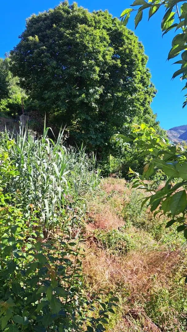 Haus oder Chalet zur Miete in Valleseco mit Privatgarten und Balkon