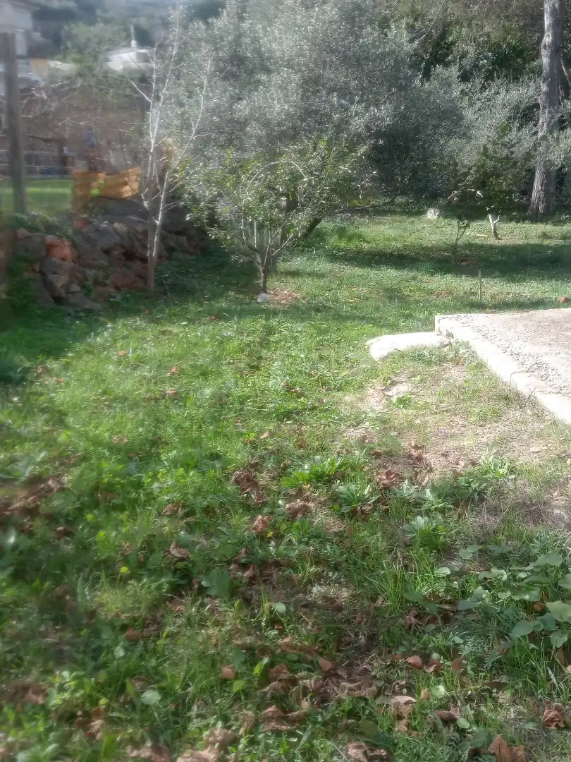Maison rustique à vendre à Partida les Foyes, imagen 49