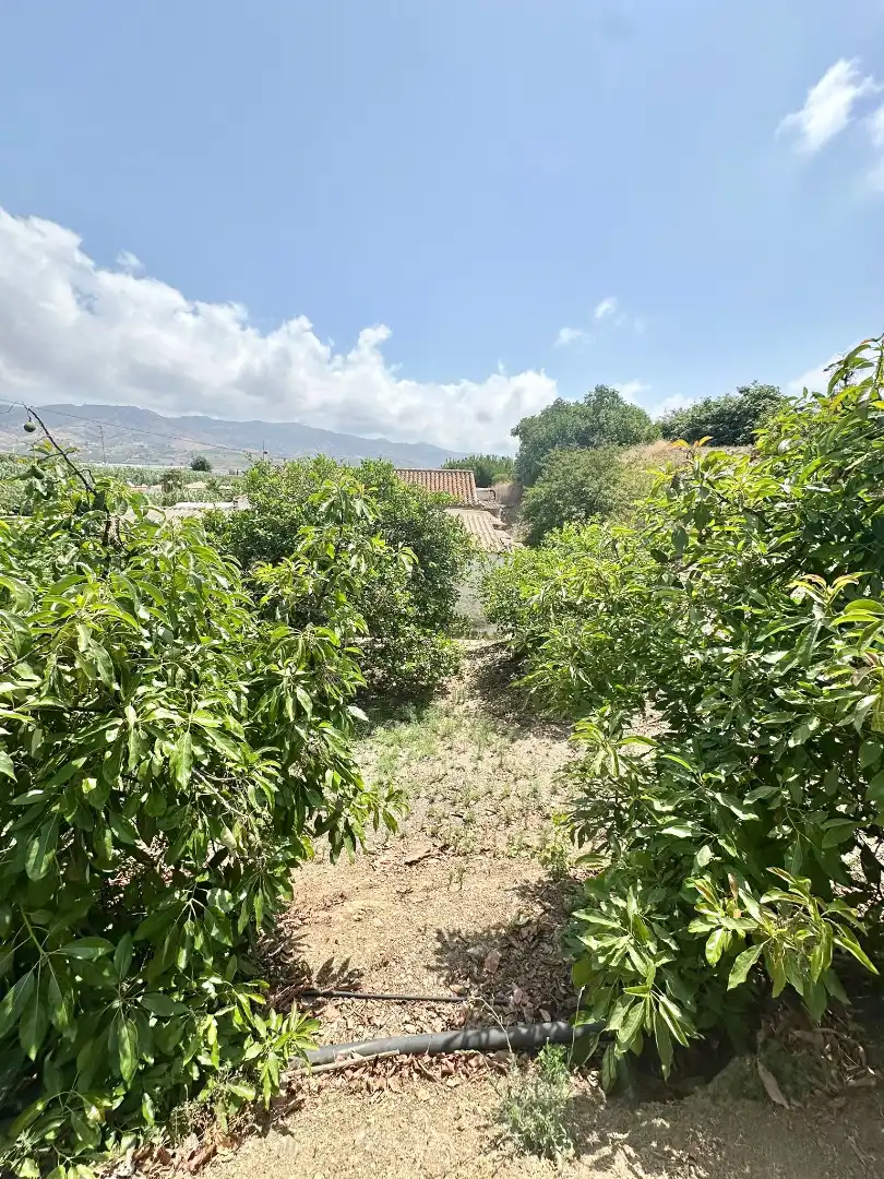 Country homes for sale in Benamocarra  with Private garden, Storage room and Swimming Pool