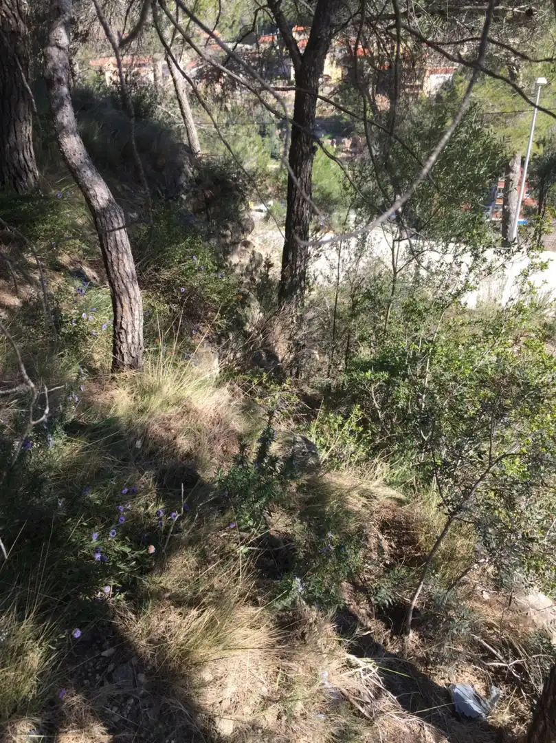 Terrenos y solares en venta en Monistrol de Montserrat, imagen 11