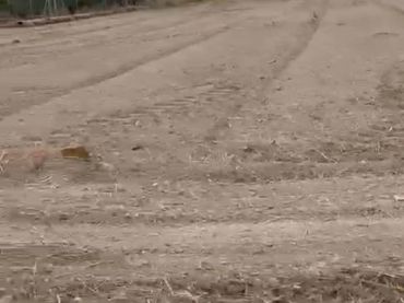 Terreno residenziale in vendita a Cmo de los Ciruelos 1