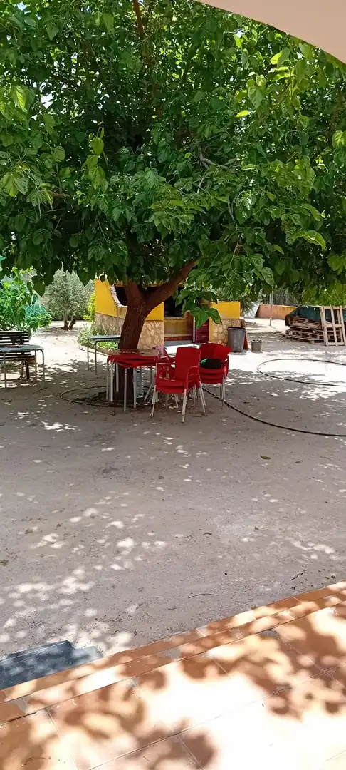 Chalet con piscina en venta en Pedanías - Extrarradio, imagen 25