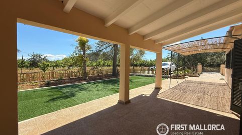 Foto 5 de Finca rústica de alquiler en Alaró, Illes Balears