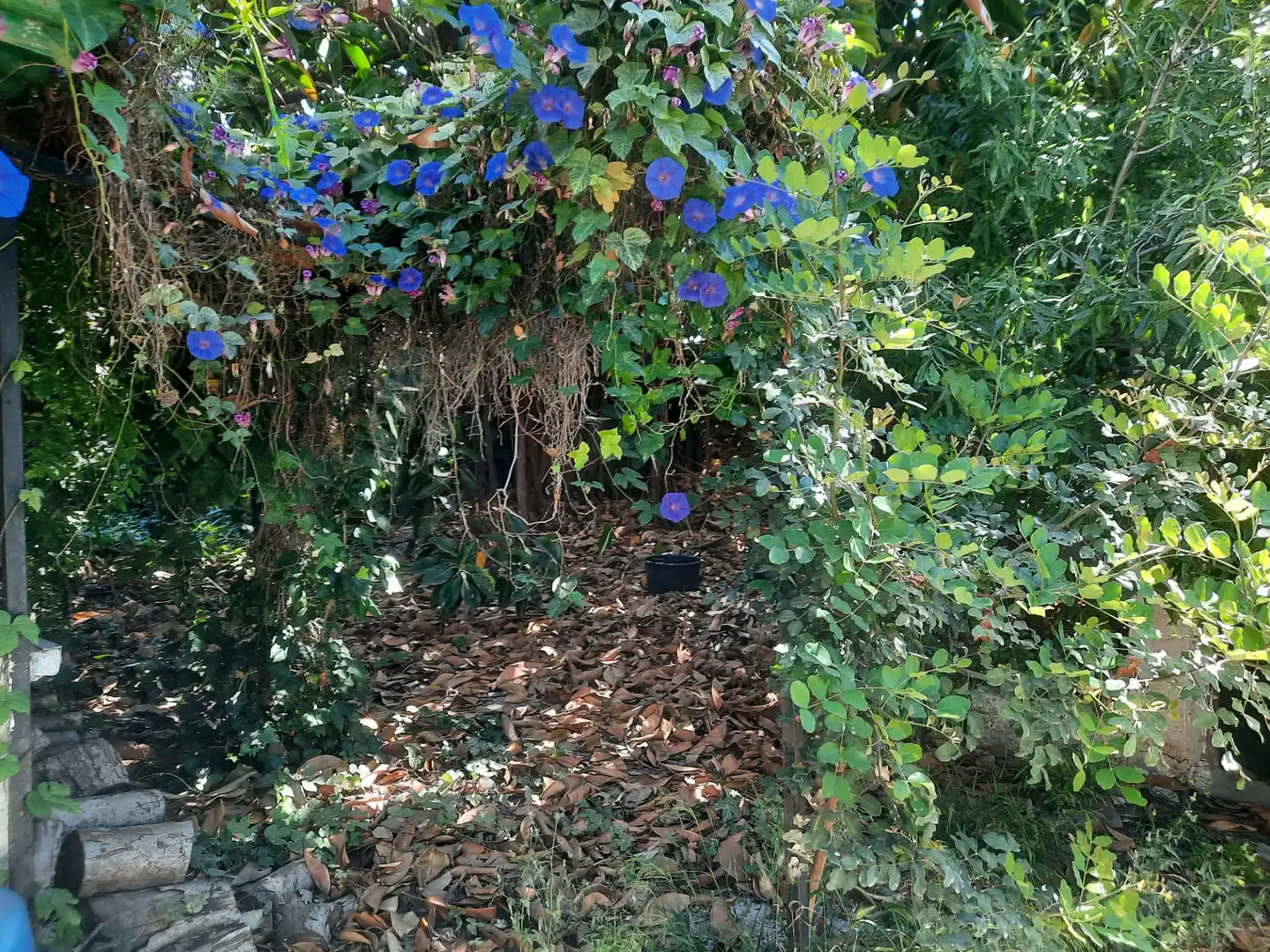 Garden of Residential for sale in Torremolinos