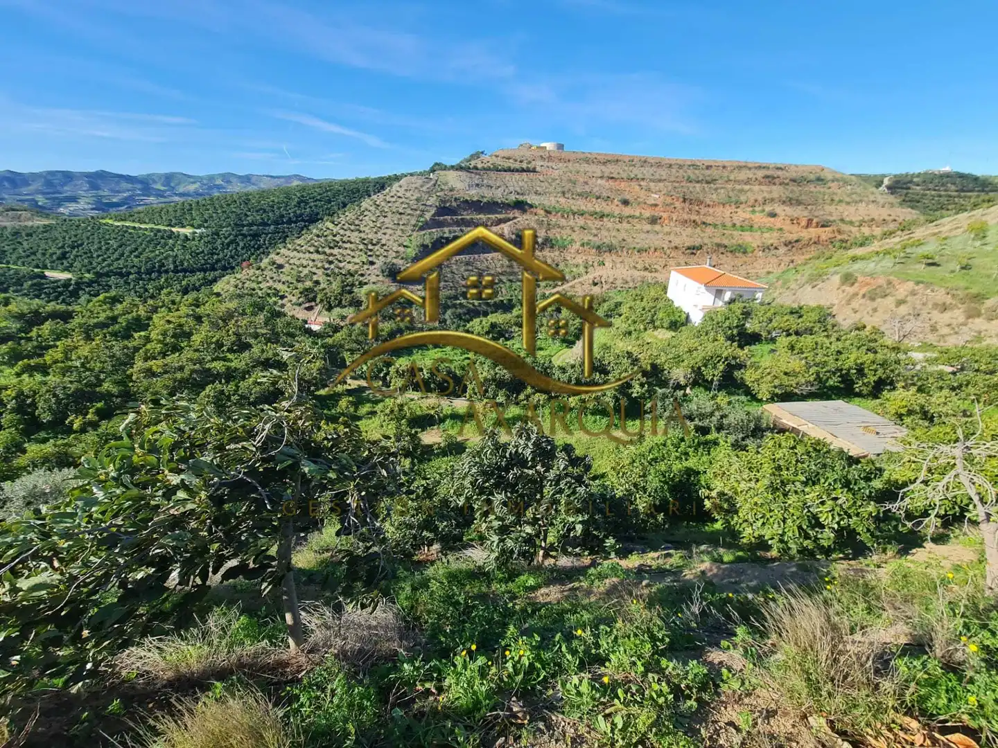 Casa rustica in vendita a Diseminado Atalaya Baja