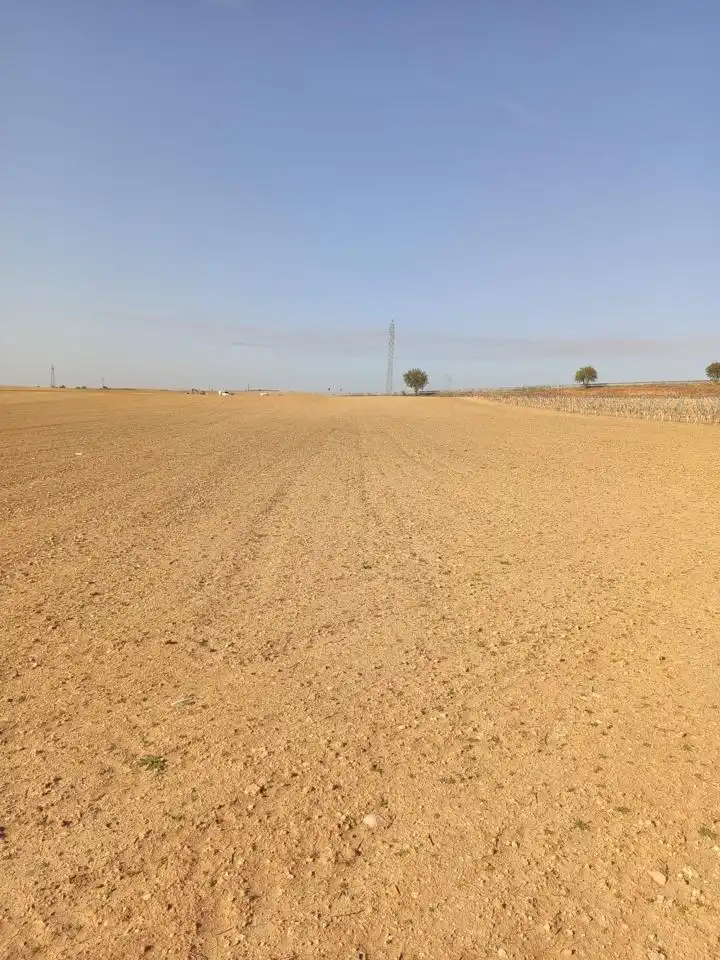 Terreni e lotti in vendita a Cañada, imagen 5