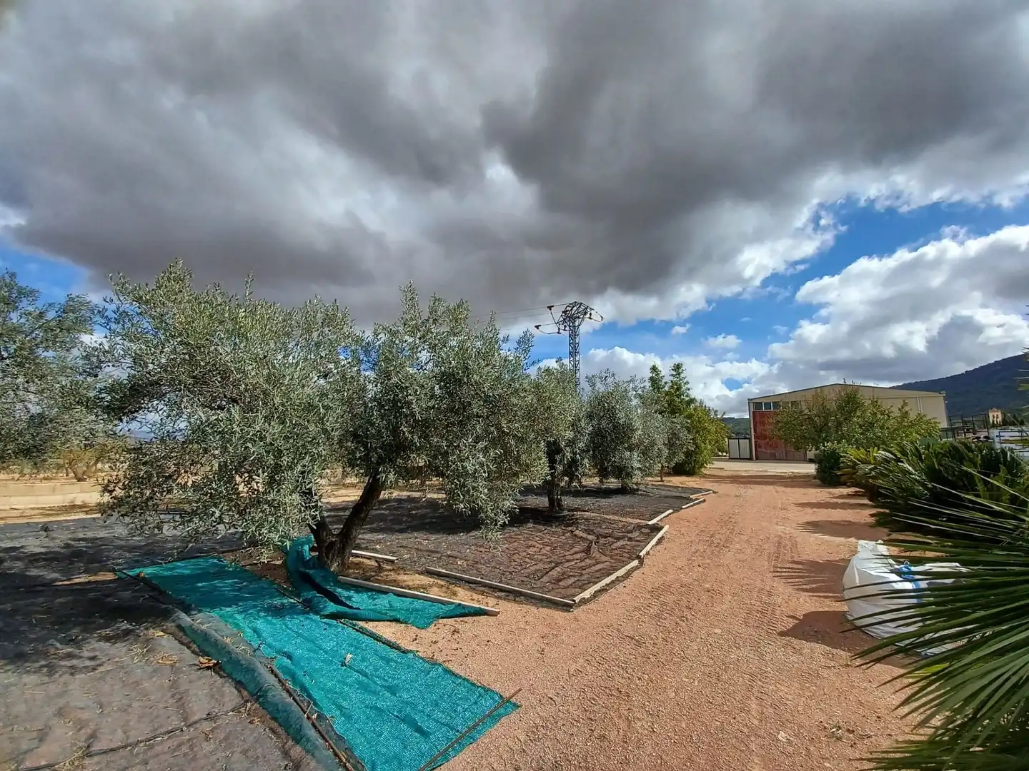 Casa rustica in vendita a Monóvar  / Monòver, imagen 19