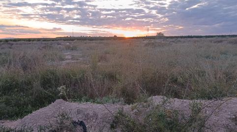 Photo 4 of Country house for sale in Camí Dels Quiles, Torrellano, Elche / Elx