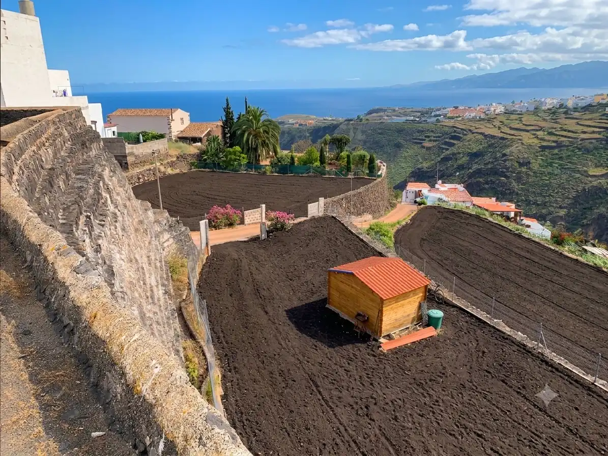 Garden of Residential for sale in Moya (Las Palmas)