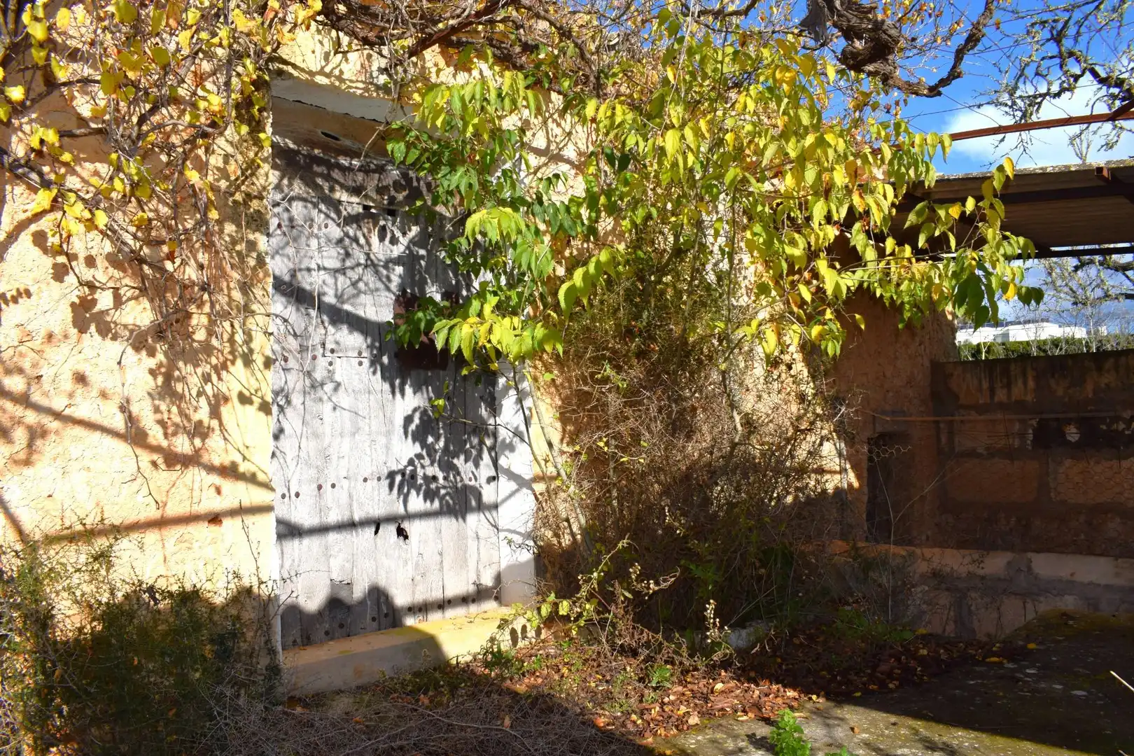 Residential land for sale in Llubí, imagen 12
