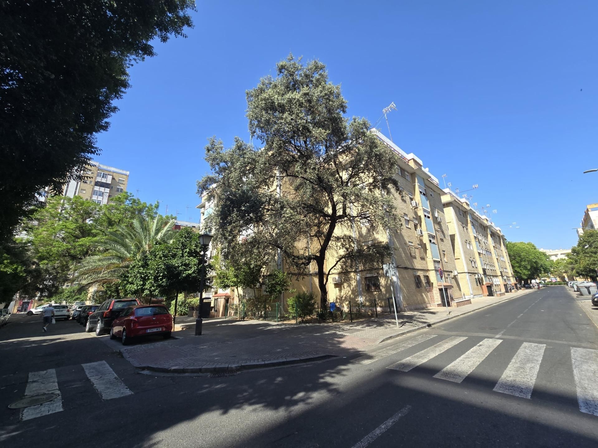 Vista exterior de Planta baixa de lloguer en  Sevilla Capital amb Aire condicionat i Calefacció