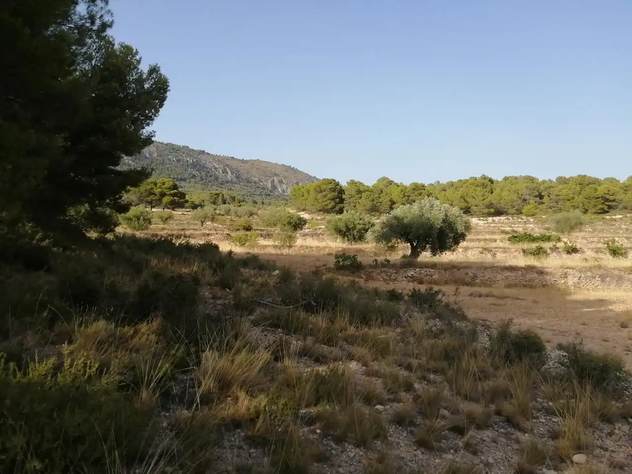 Terrenys i solars en venda a Onil, imagen 2