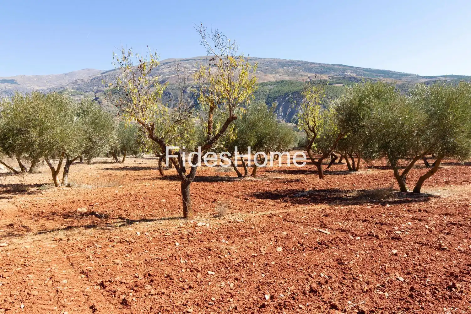 Rural land for sale in XC7V+6WV Acequias 0, imagen 12