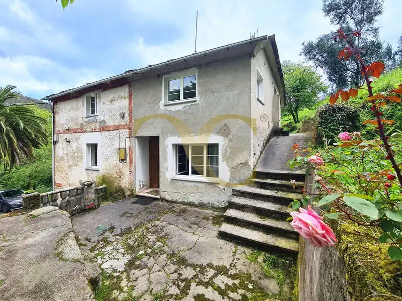 Vista exterior de Casa o chalet en venta en Coaña