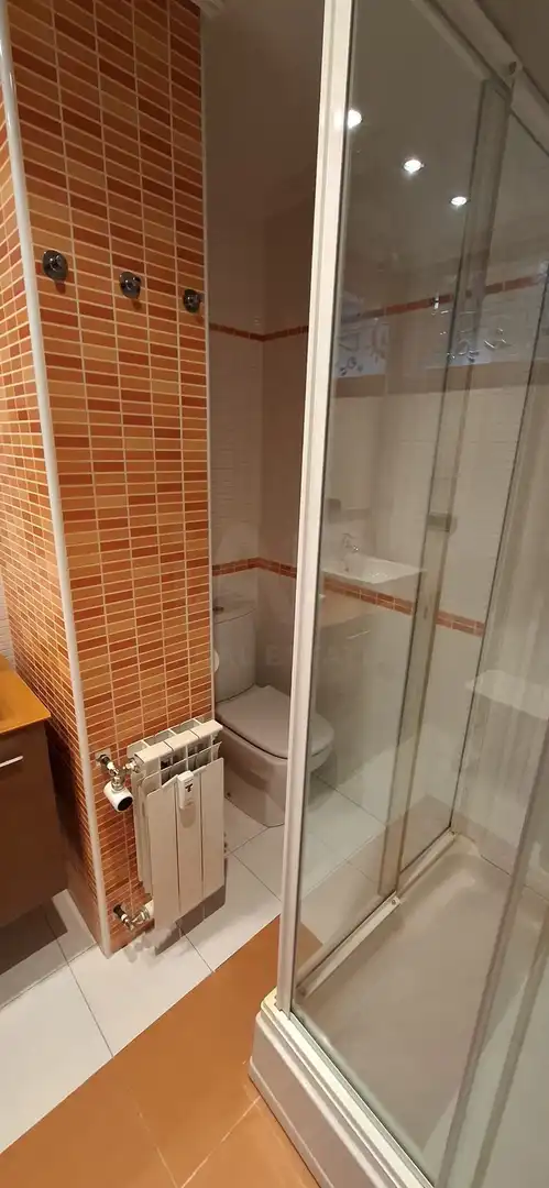 Bathroom of Flat for rent in León Capital   with Heating