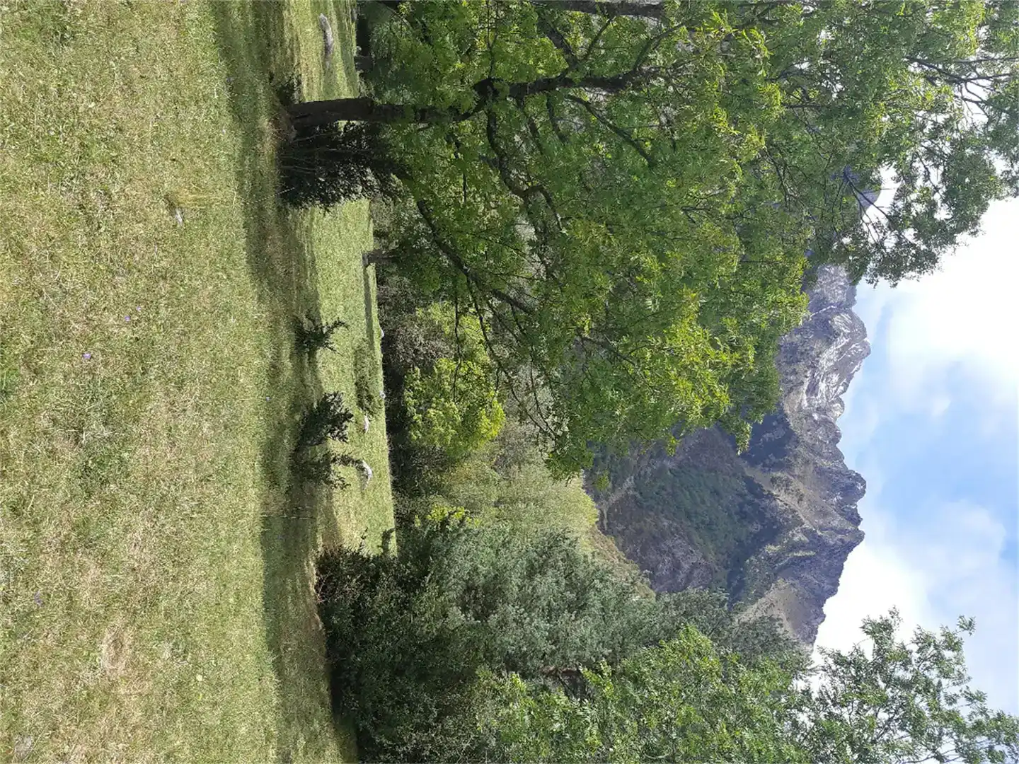 Jardín de Terreno en venta en Benasque