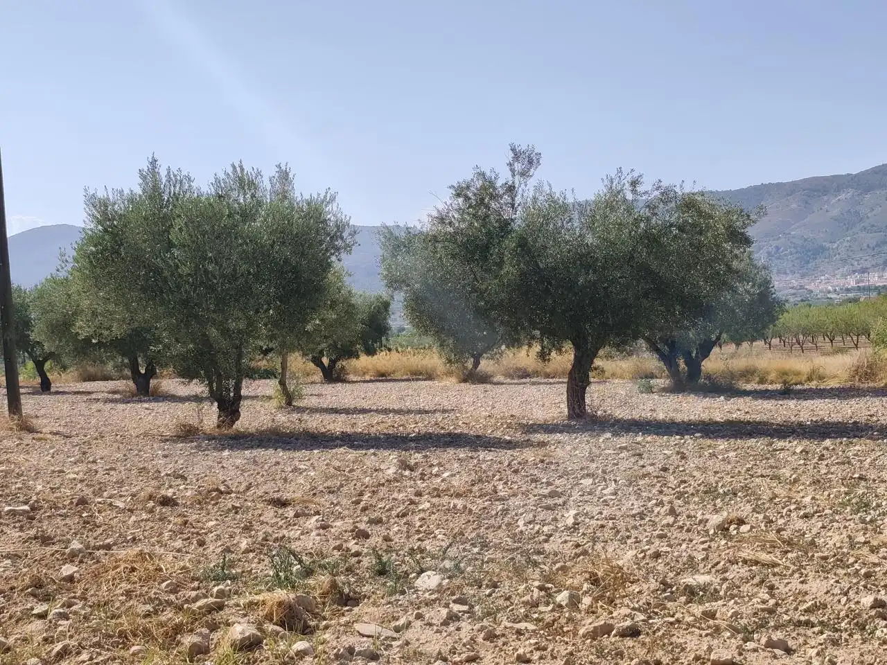 Terreno rustico in vendita a Castalla, imagen 17