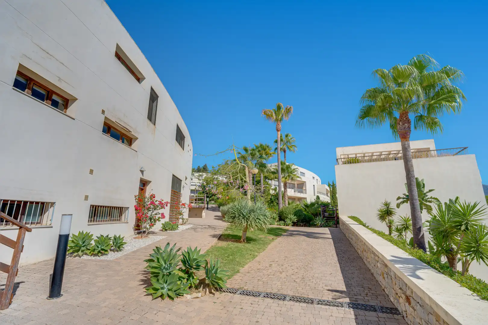 Baixos amb piscina en venda a Río Real - Los Monteros, imagen 5