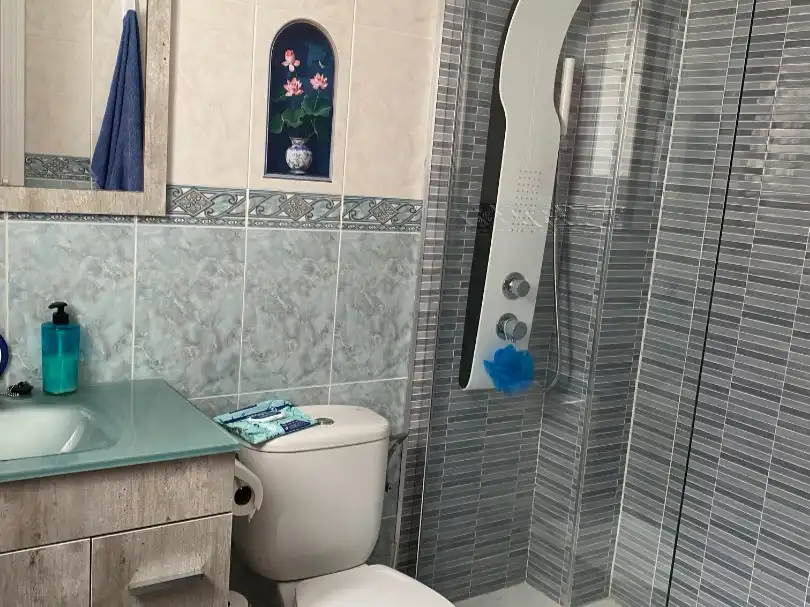 Penthouse with lift for sale in Vicente Blasco Ibáñez 152, imagen 19