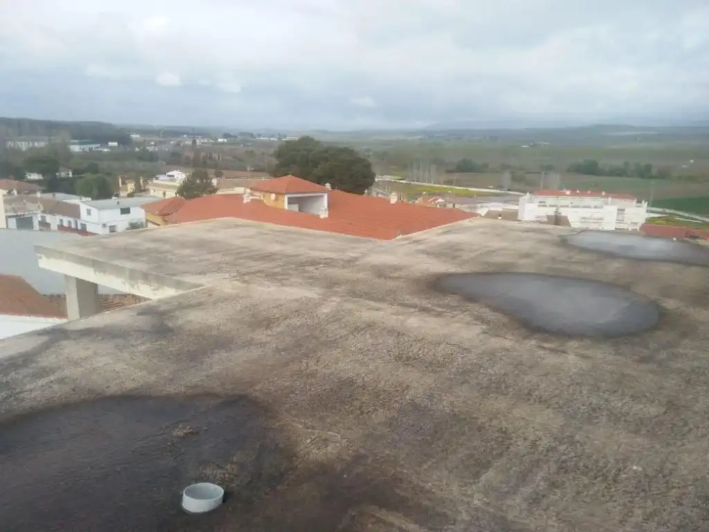 Immobles singulars en venda a c/ mediodia, imagen 4