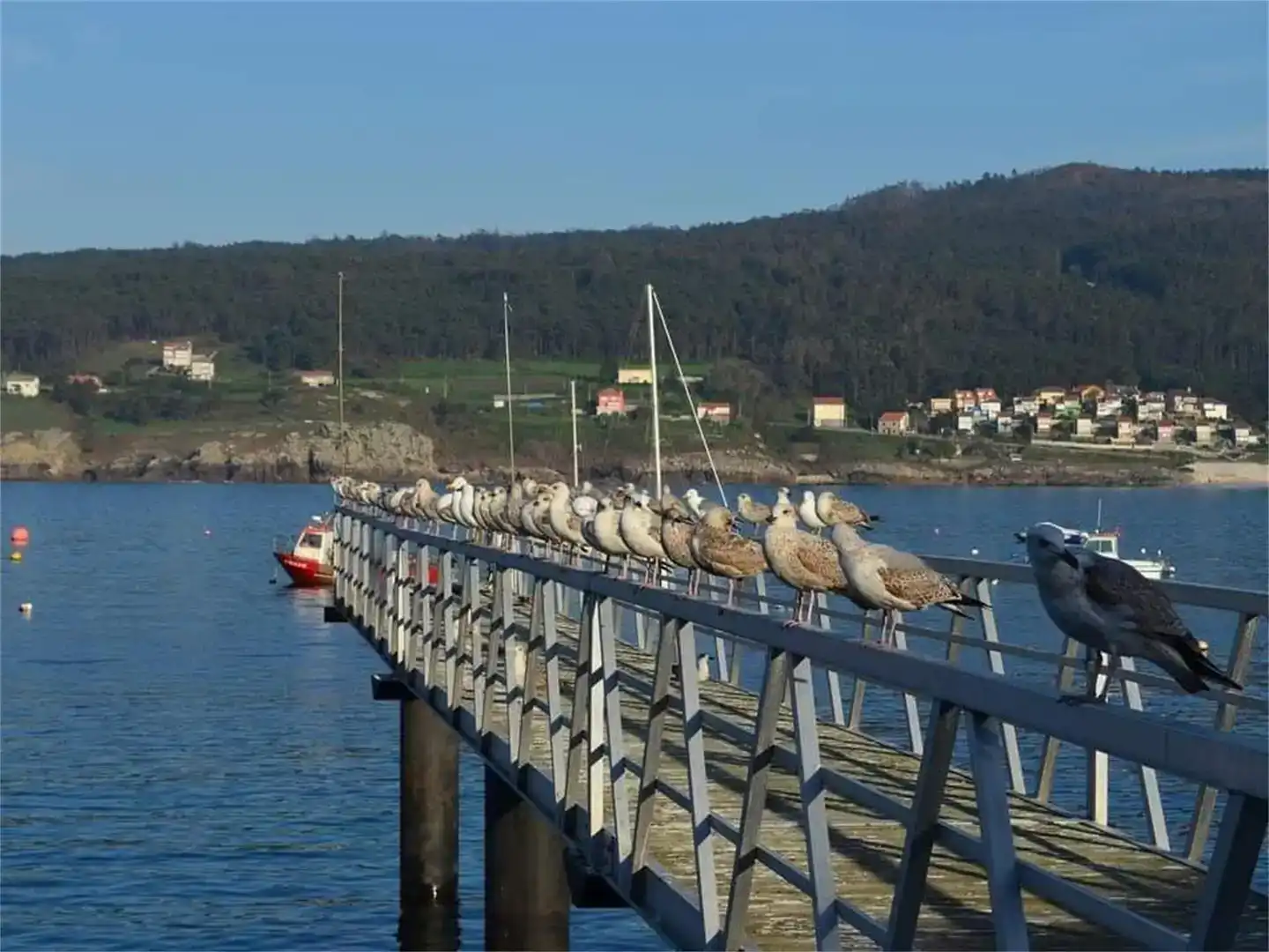 Apartments for rent in Laxe, A Coruña
