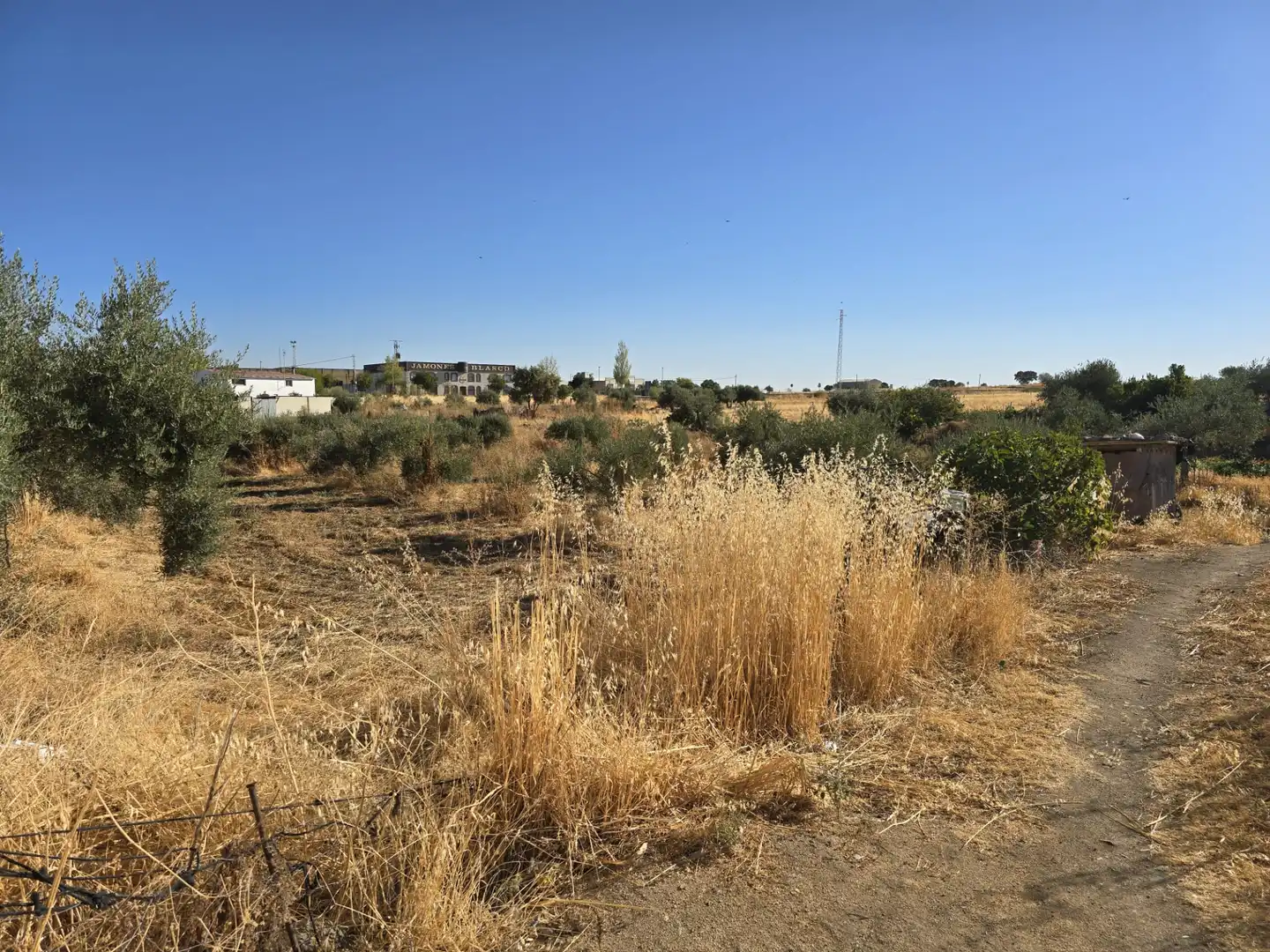 Terreno rustico in vendita a Calle Reyes Catolicos 71, imagen 4