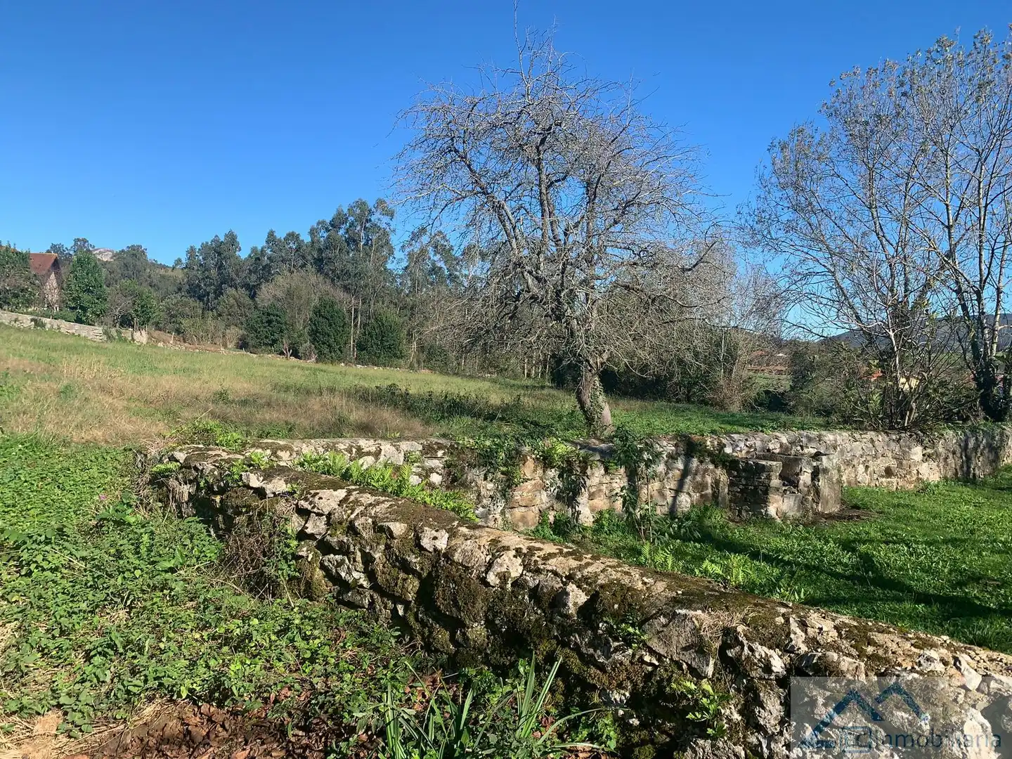 Terreny residencial en venda a La Miguela