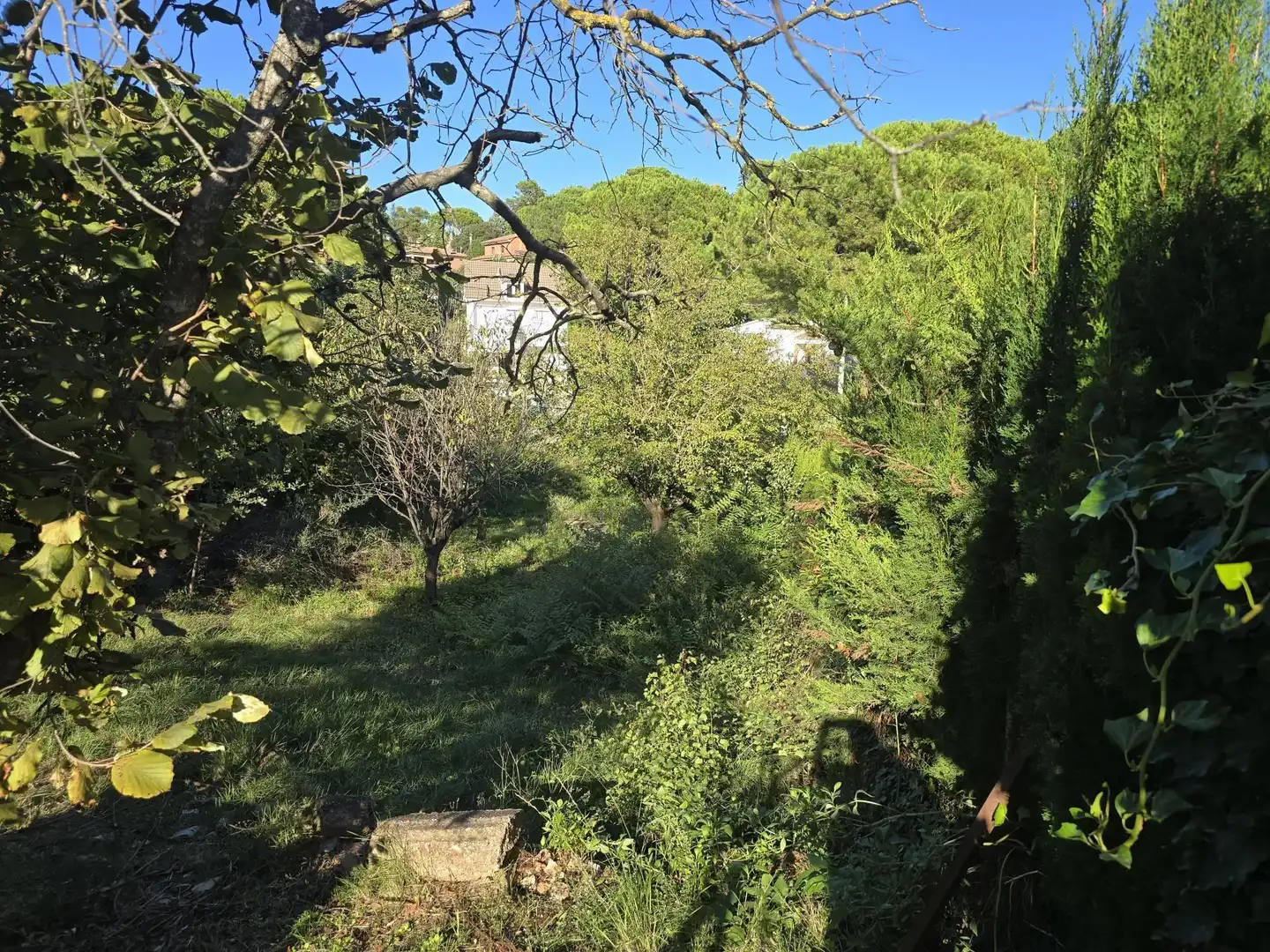 Terreno residencial en venta en Vacarisses, imagen 8