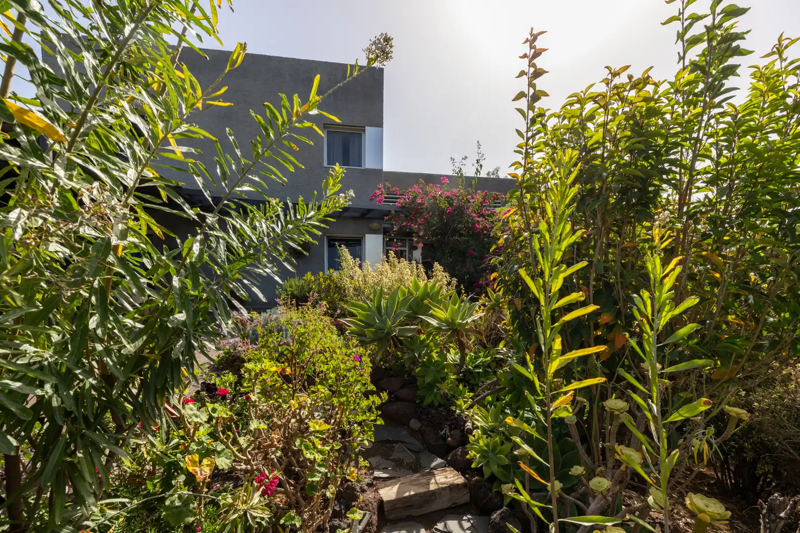Jardí de Casa o xalet en venda en Vegueta - Cono Sur - Tafira