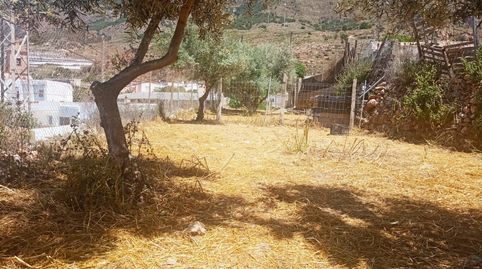 TERRENO URBANO EN EL CENTRO DE CELÍN, immagine 4