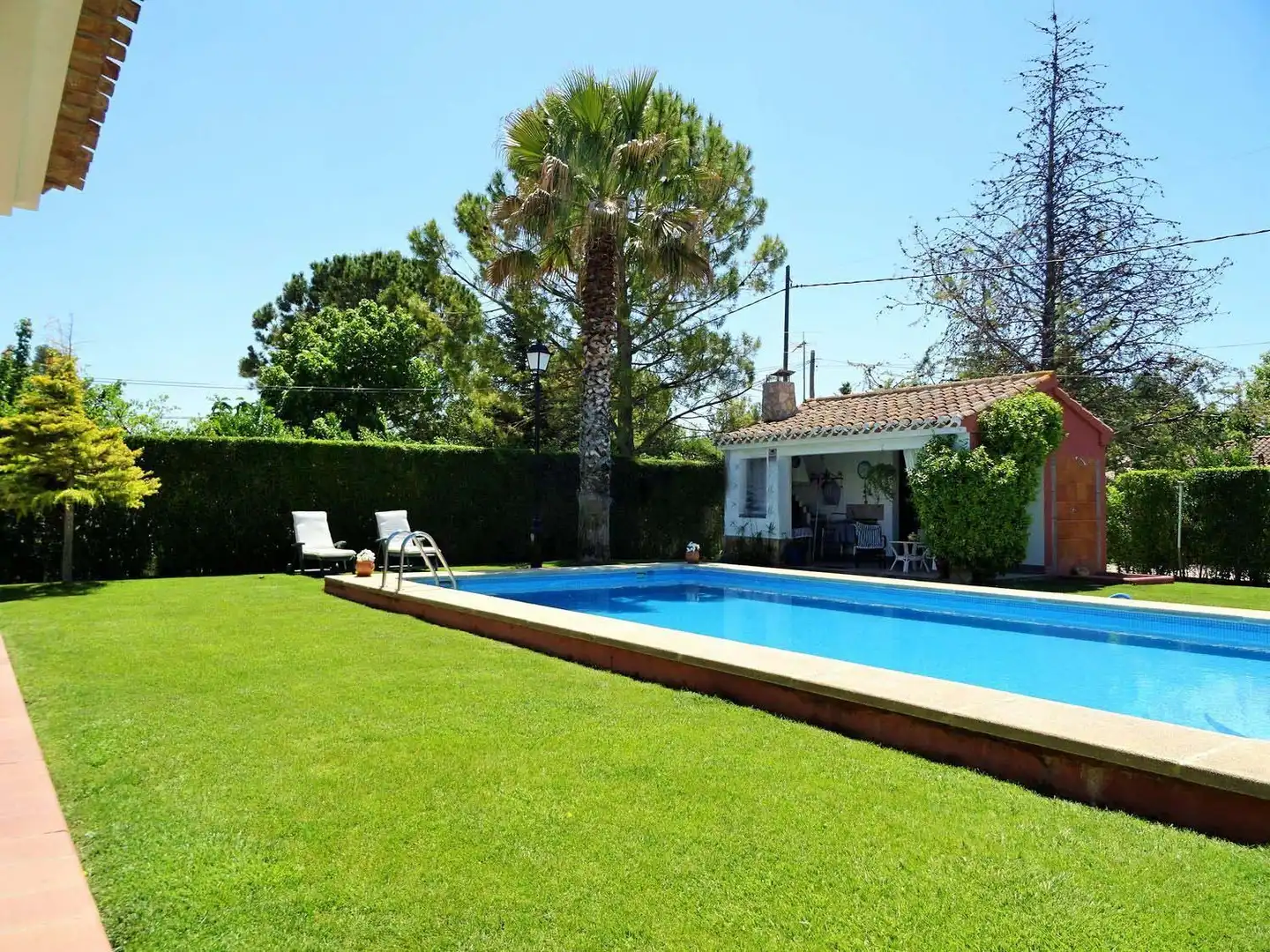 Piscina de Casa o xalet en venda en Albacete amb Aire condicionat, Jardí privat i Terrassa