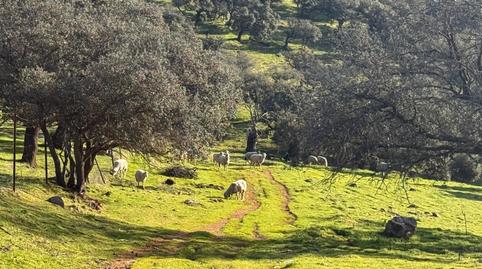Foto 3 von Country house zum Verkauf in Villanueva del Rey, Córdoba