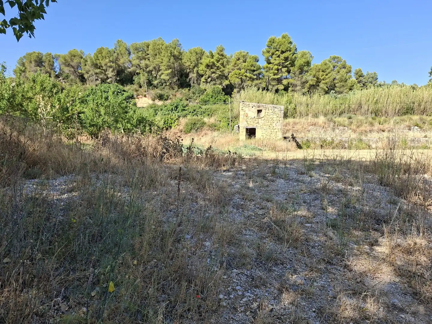 Finca rústica en venda en Mazaleón