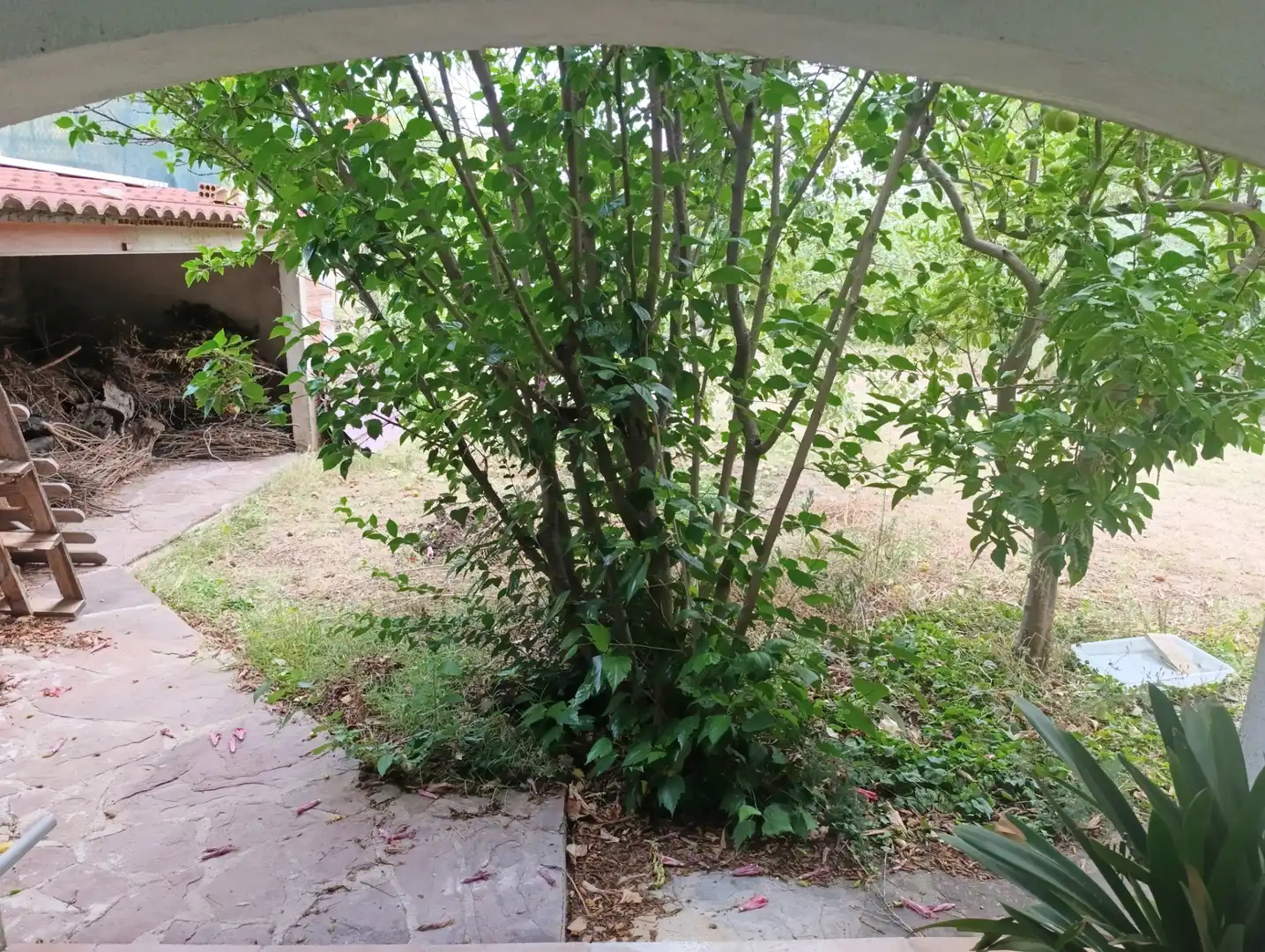 Haus mit Terrasse zum Verkauf in Santa Eulàlia de Ronçana, imagen 51