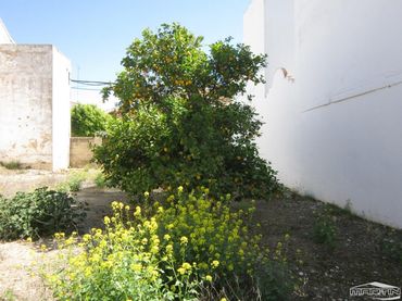 Casa en venda a Navas del Sepillar
