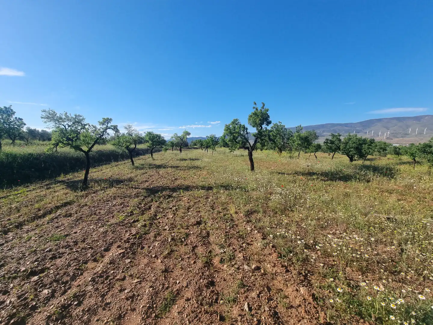 Terreno en venta en Abrucena