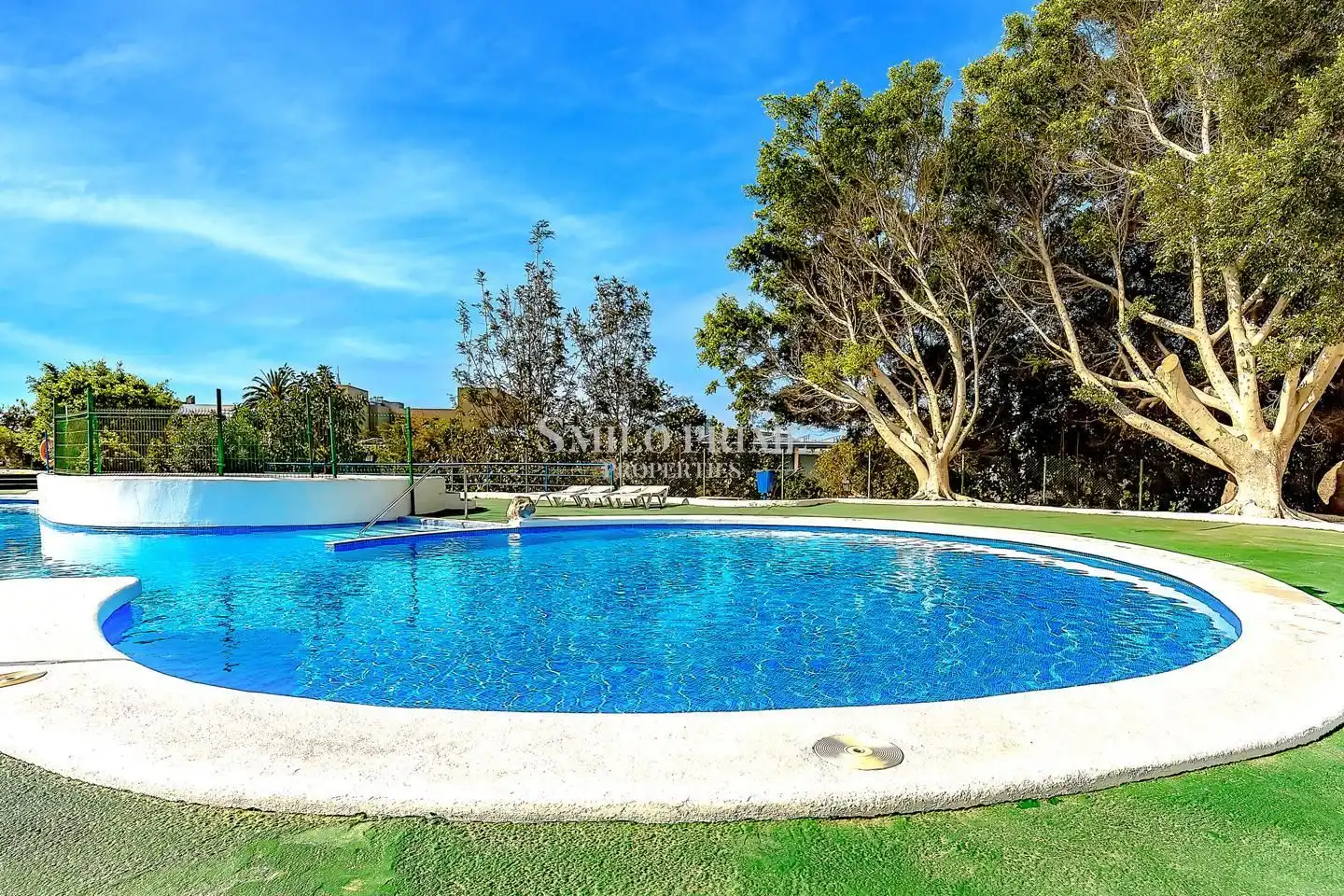 Piscina de Estudio en venta en Adeje con Terraza, Amueblado y Piscina comunitaria