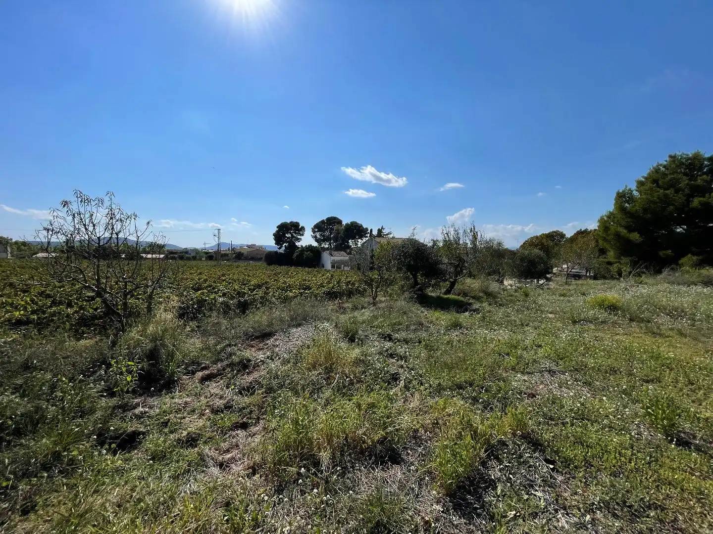 Residencial en venda en Sant Cugat Sesgarrigues
